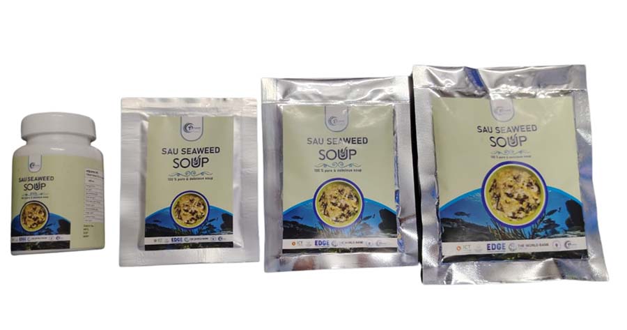 Seaweed Soup Gallery